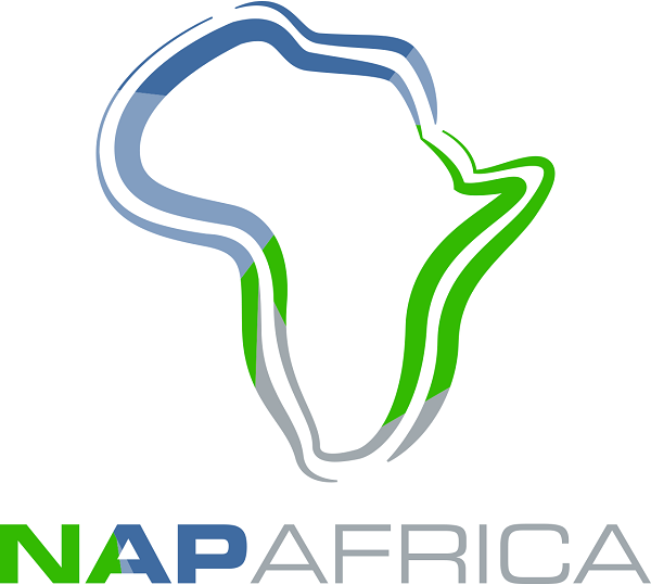 NAPAfrica logo