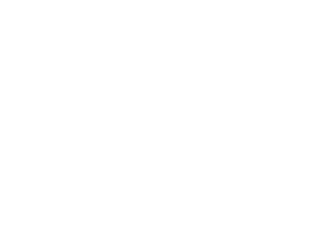 Af-IX logo